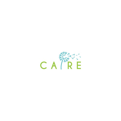 Logo for CAIRE