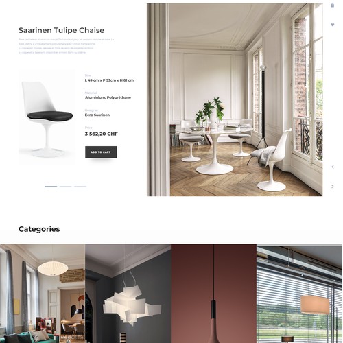 Furniture and lighting boutique design concept