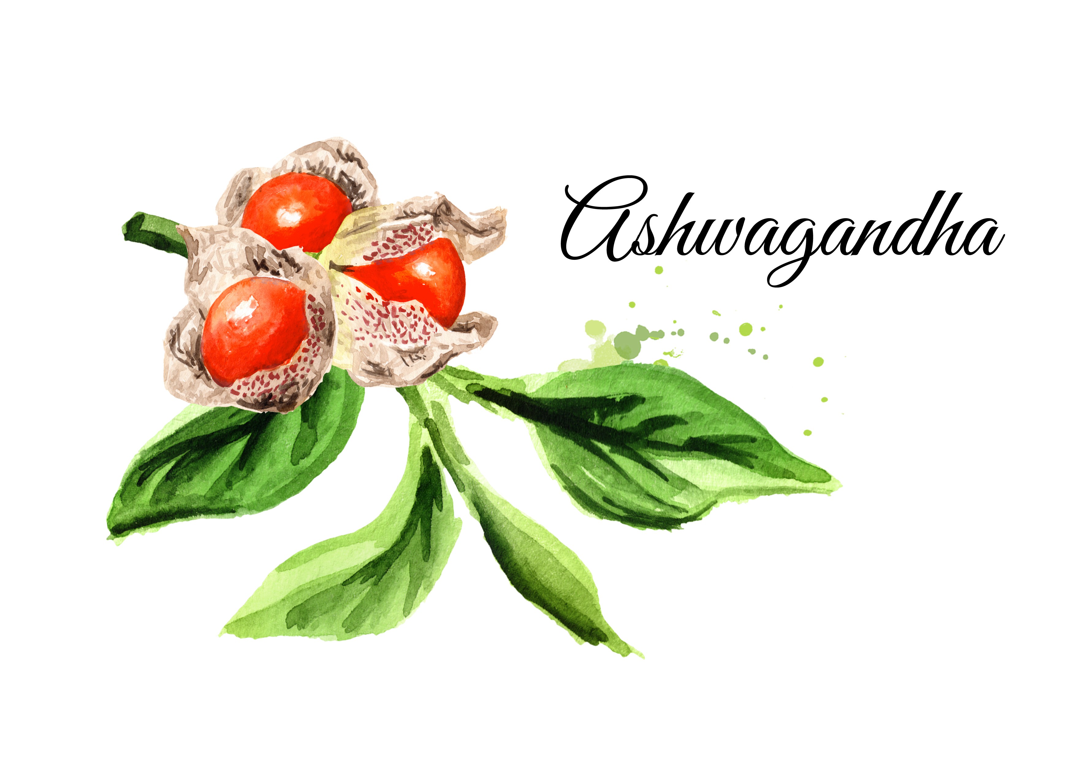 Ashwagandha Design Needed for Nature's Nutrition