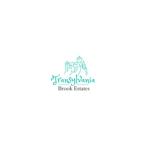 Transylvania Brook Estates Logo Design