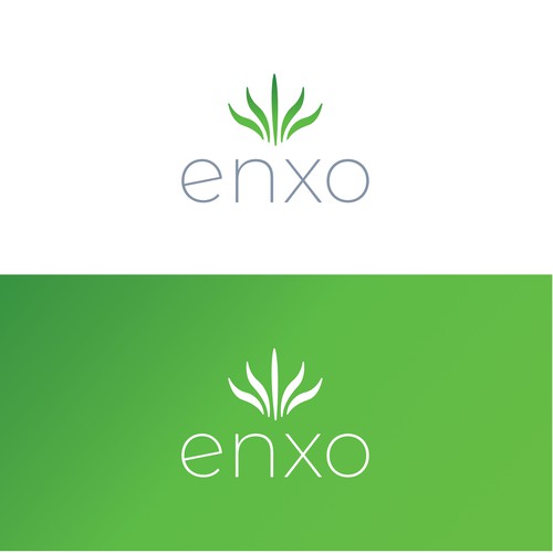 ENXO Logo Design