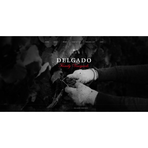 Create Delgado Family Vineyard website