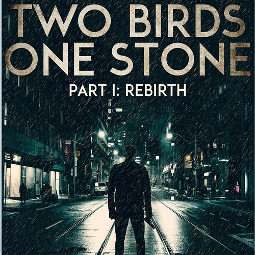 Two Birds One Stone ebook cover