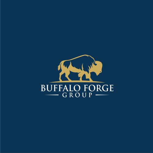 buffalo forge group
