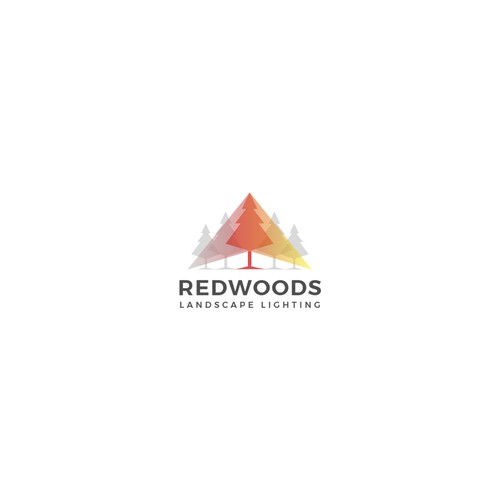 REDWOODS 