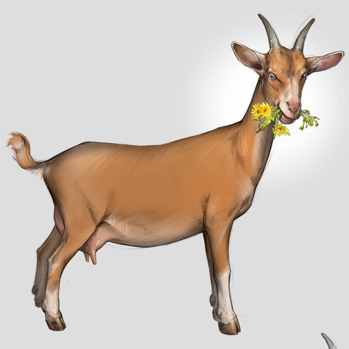 Goat Illustration