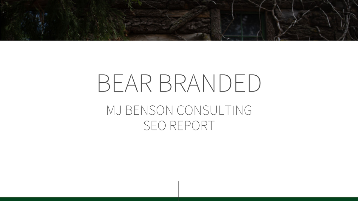 MJBensonConsulting.com搜索引擎优化优化