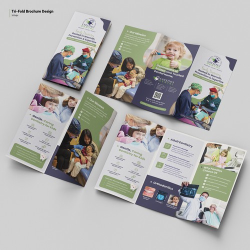 Brochure Design: Chestnut Design