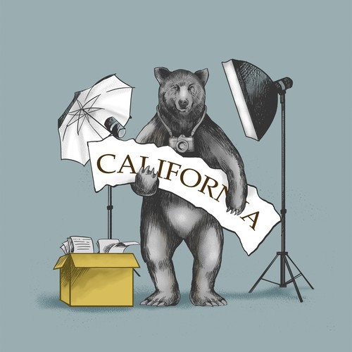 Illustration Bear