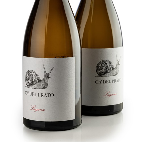 Hand-drawn label design for Ca' Del Prato