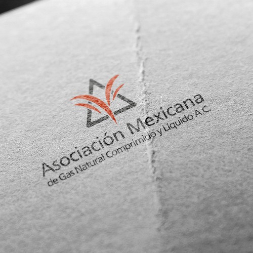 Asociación Mexicana de Gas Natural