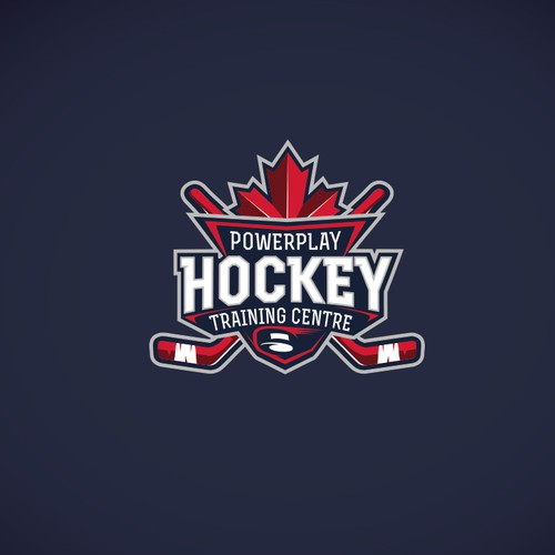 Concept logo for hockey team