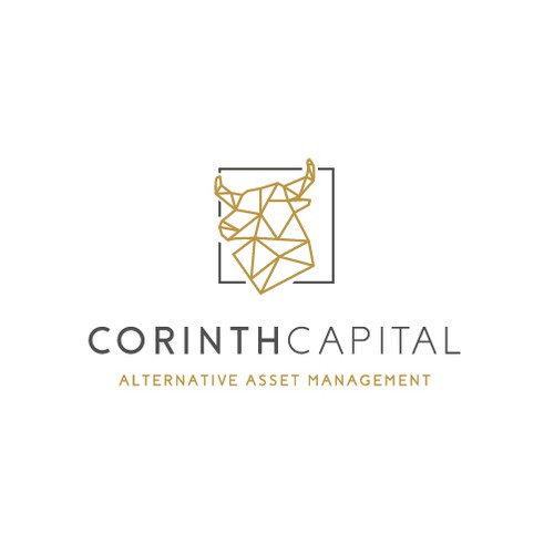 Geometric elegant logo