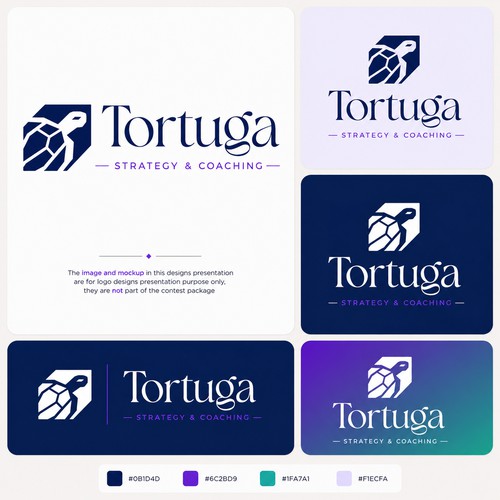 Tortuga Strategy & Coaching