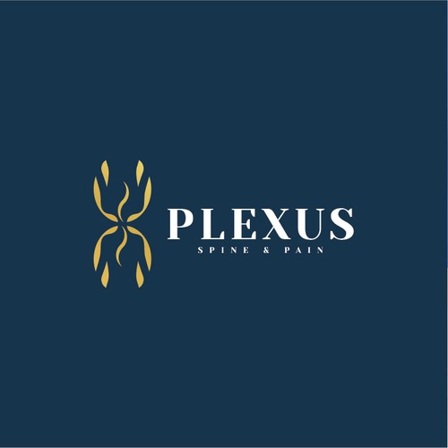Plexus Brand Identity