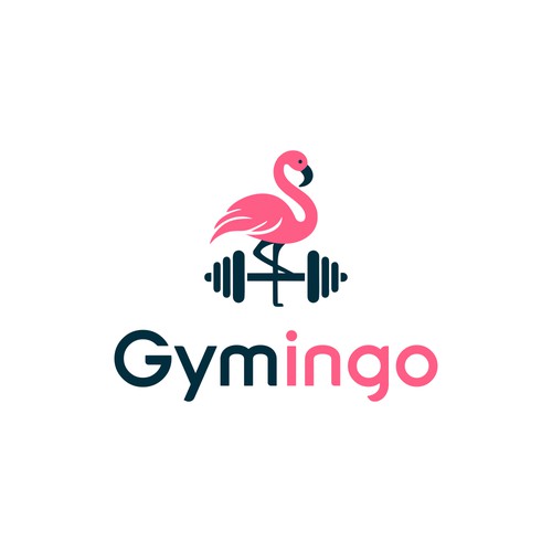 Flamingo Gym