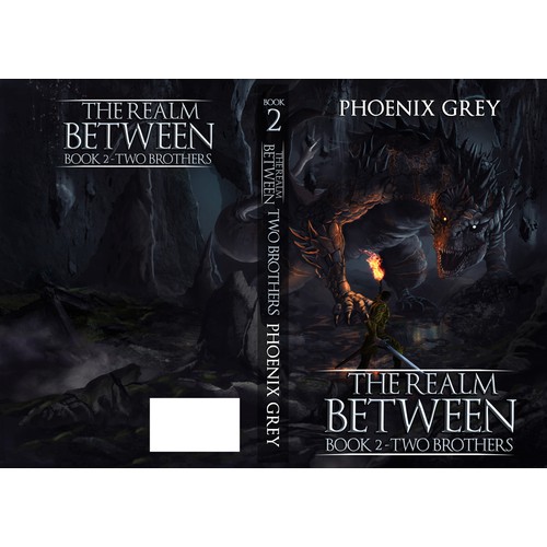 BoCovers for a long running LitRPG series