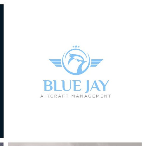 Logo concept for Blue Jay Aircraft Management