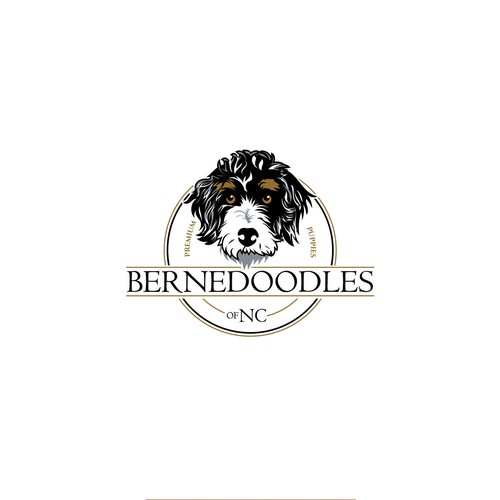 berndoodles