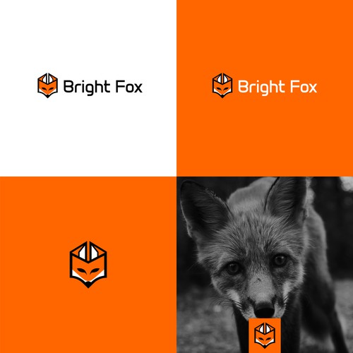 Bright Fox Book