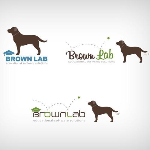 New logo wanted for BrownLab