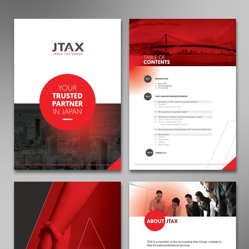 Service Firm - Accounting brochure