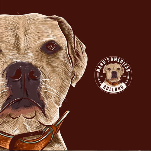 Manu's american bulldog logo