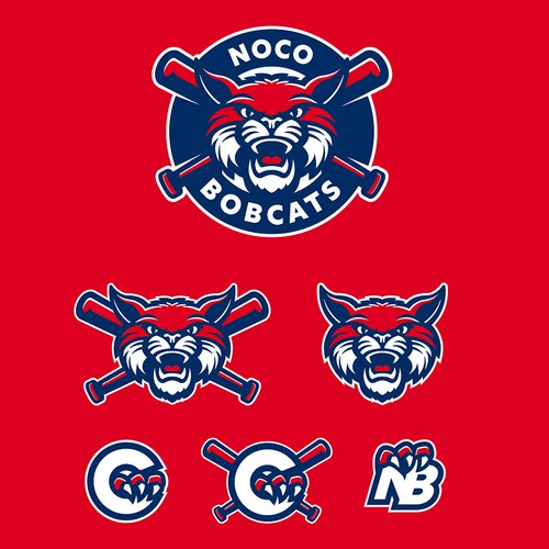 logo and branding for baseball team