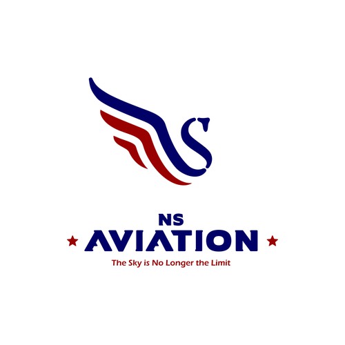 Help NS Aviation with a new logo