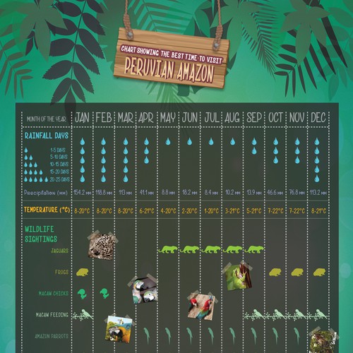 Infographic for Amazon Jungle Wildlife and Weather