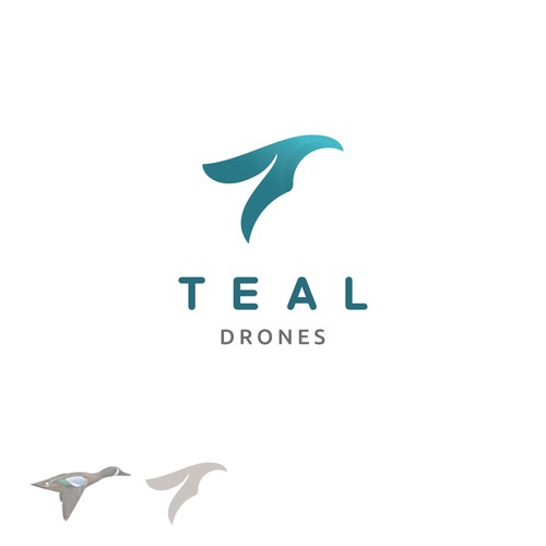 Duck drone
