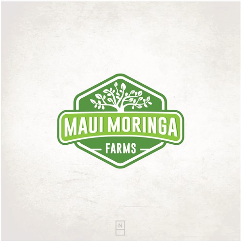 Maui Moringa