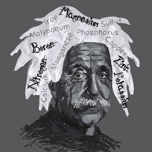 Create a Einstein Nutrient Illustration for our "Are You Deficient?" game