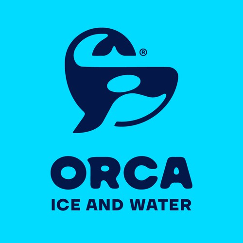 ORCA Ice and Water