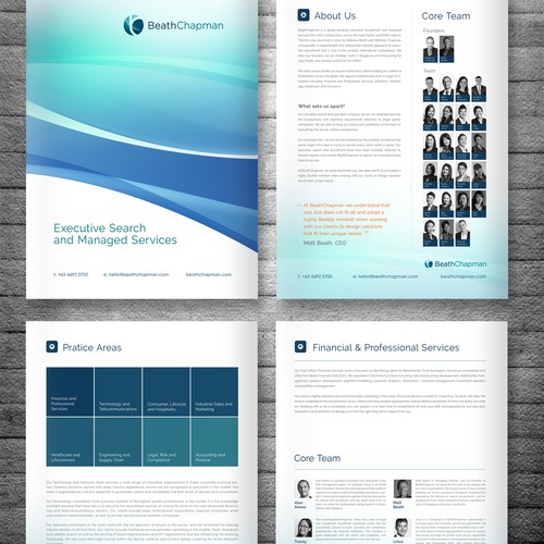 Electronic brochure design for professional services firm