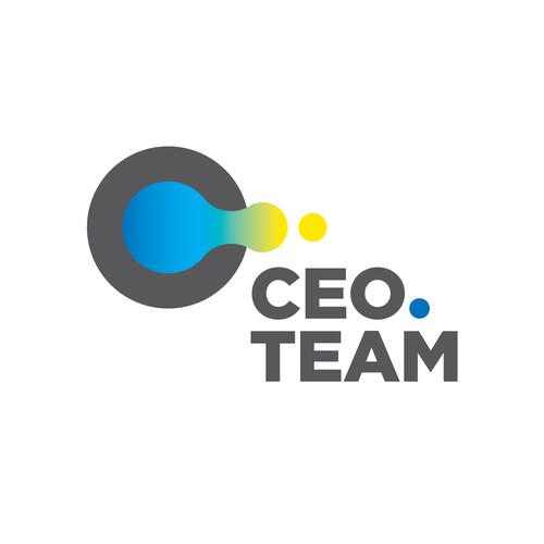 CEO TEAM