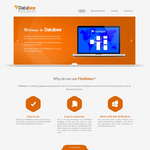 Help Databee Business Systems with a new website design