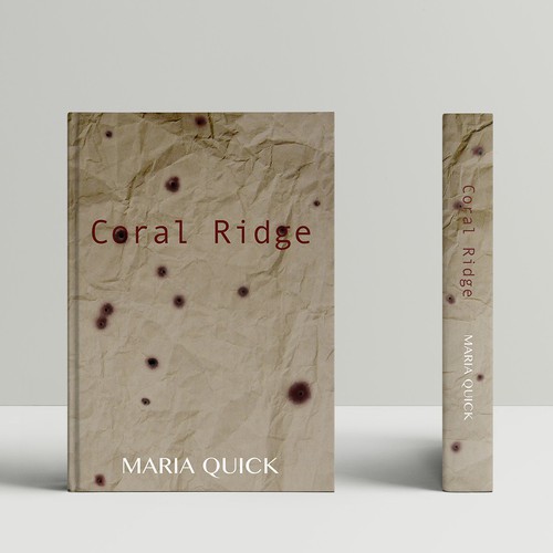 Subtle Book Cover About a Mass Shooting