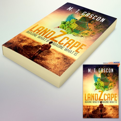 Book Cover Concept for "LandZcape"