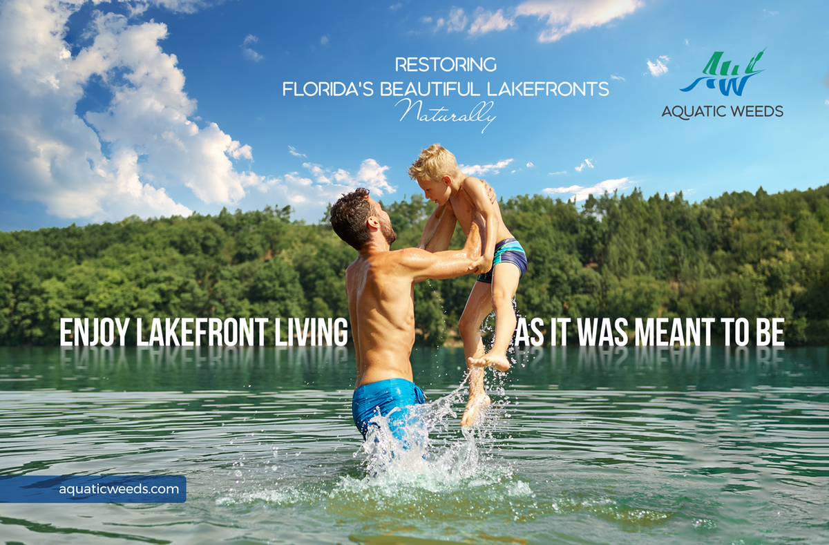 Hand-out flyer for Aquatic Weeds company