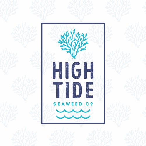 High Tide