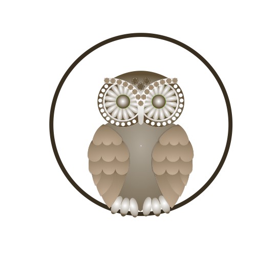 Owl Cleaning and Care Logo Design