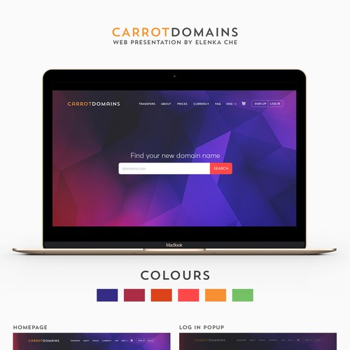 Website design for CarrotDomains. 