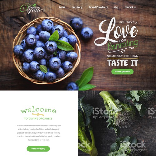 Farm Website Design