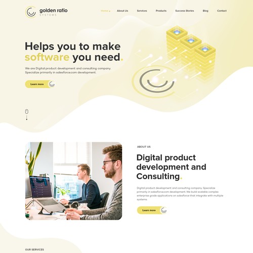 Website design for a salesforce product development company