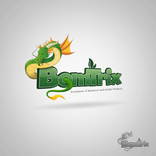 Dragon Bomtrix logo