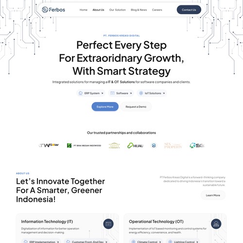 IT Consultant Development Web Profile