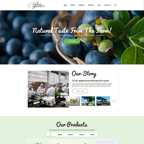 Website design for Devine Organics