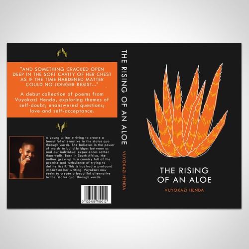 Book Cover Design for a Modern Poetry Collection