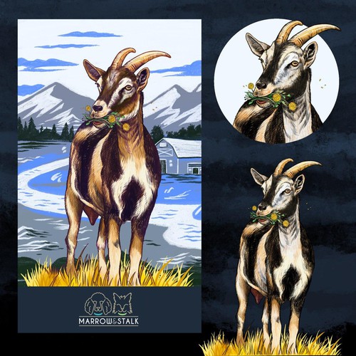Nigerian Dwarf Goat Illustration